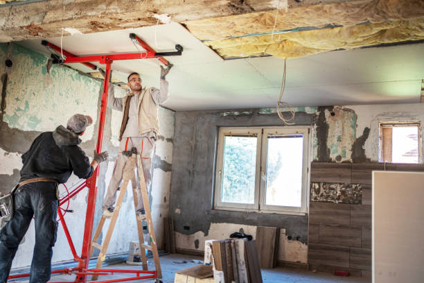 Best Geographic-Specific Insulation Services in Orlinda, TN